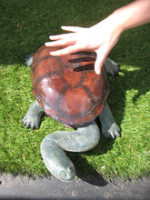 Load image into Gallery viewer, LONG NECK TURTLE - JR 100114
