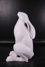 Load image into Gallery viewer, HARE 5FT JR 150359

