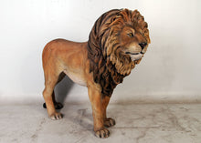 Load image into Gallery viewer, KING LION JR 110101
