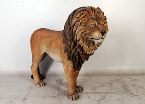 KING LION JR 110101