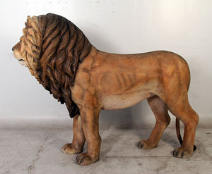 KING LION JR 110101