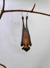 Load image into Gallery viewer, BAT - LITTLE RED FLYING FOX -JR 100121
