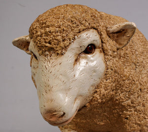 MERINO SHEEP HEAD DOWN SMALL JR 110125