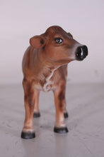 Load image into Gallery viewer, MINI COW - JERSEY - JR 0012

