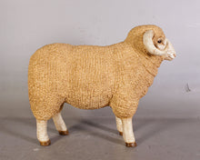 Load image into Gallery viewer, MERINO RAM SMALL JR 110128
