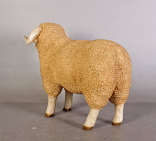 Load image into Gallery viewer, MERINO RAM SMALL JR 110128
