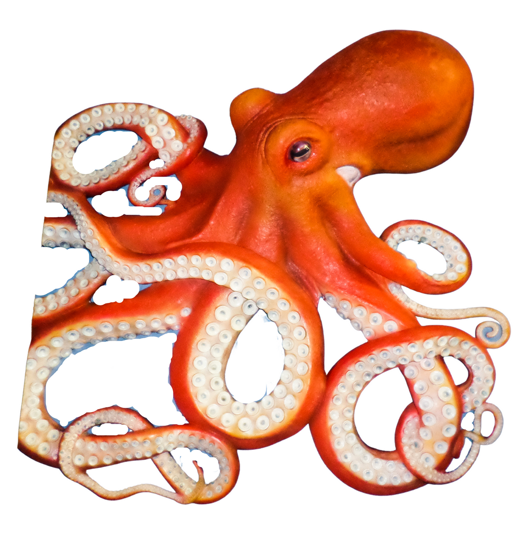 Octopus Wall Decor (JR 140096)