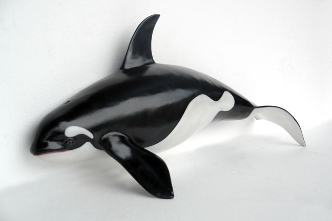 Orca Whale Small (JR 2451)