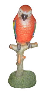 Parrot on Perch 3.5ft (JR 2341)