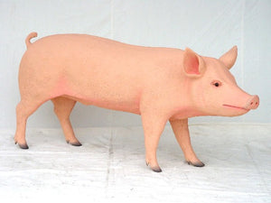 PIG JR 1637