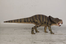 Load image into Gallery viewer, PROTOCERATOPS -JR 120064
