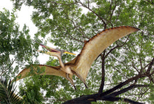 Load image into Gallery viewer, PTERANODON-GIANT -JR 120010
