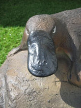 Load image into Gallery viewer, PLATYPUS ON ROCK - SMALL - JR 100115
