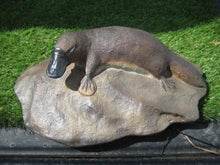 Load image into Gallery viewer, PLATYPUS ON ROCK - SMALL - JR 100115
