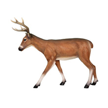 Load image into Gallery viewer, YOUNG DEER JR R-001
