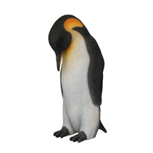 Load image into Gallery viewer, PENGUIN -MALE JR R-018
