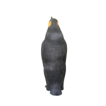 Load image into Gallery viewer, PENGUIN - FEMALE JR R-019
