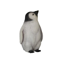 Load image into Gallery viewer, BABY PENGUIN JR R-020

