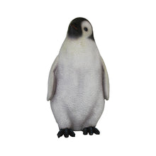 Load image into Gallery viewer, PENGUIN -YOUNG JR R-021
