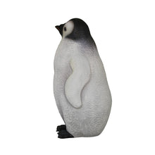 Load image into Gallery viewer, PENGUIN -YOUNG JR R-021
