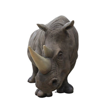 Load image into Gallery viewer, RHINOCEROUS JR R-023

