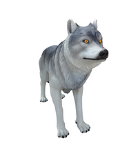 Load image into Gallery viewer, WOLF JR R-027
