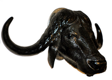 Load image into Gallery viewer, AFRICAN BUFFALO HEAD - JR R-029
