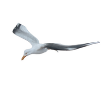 Load image into Gallery viewer, FLYING SEAGULL  JR R-037
