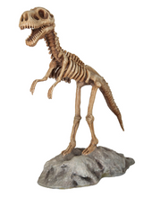 Load image into Gallery viewer, DINO SKELETON WITH BASE - JR R-047
