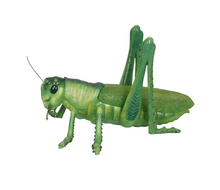 Load image into Gallery viewer, GRASSHOPPER JR R-056
