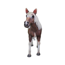 Load image into Gallery viewer, PONY JR R-082
