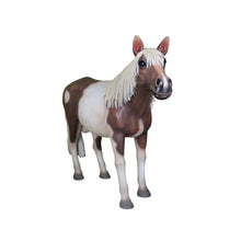 Load image into Gallery viewer, PONY JR R-082
