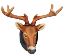 Load image into Gallery viewer, DEER HEAD -YOUNG - JR R-090
