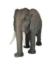 Load image into Gallery viewer, ELEPHANT JR R-093
