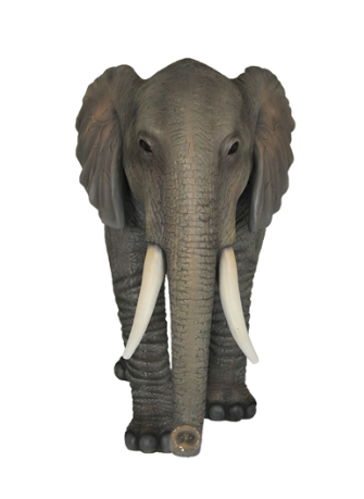 ELEPHANT JR R-093