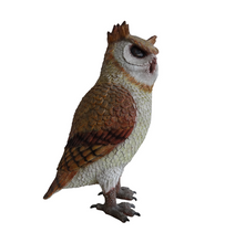 Load image into Gallery viewer, OWL JR R-172
