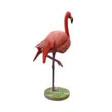 Load image into Gallery viewer, FLAMINGO  HEAD UP - JR R-333
