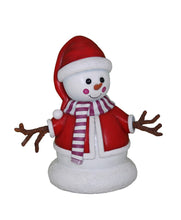 Load image into Gallery viewer, JANE SNOWMAN JR S-025

