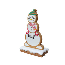 Load image into Gallery viewer, GINGERBREAD SNOW WOMAN JR S-199
