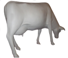 Load image into Gallery viewer, COW -SMOOTH WHITE HEAD DOWN WITH HORNS - JR SB002
