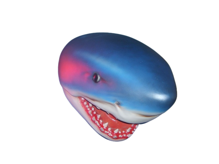 Shark Head Medium Wall-mounted (JR 2077)