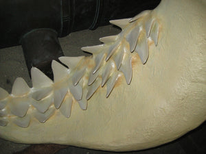 GREAT WHITE SHARK JAWS -MEDIUM - JR 2458