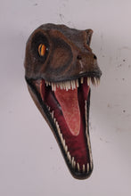 Load image into Gallery viewer, VELOCIRAPTOR HEAD JR ST6210
