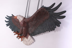 AMERICAN EAGLE - JR ST6230