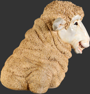 MERINO SHEEP HEAD 3 - JR 110046