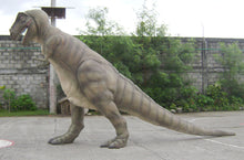 Load image into Gallery viewer, T-REX -11FT-  JR 080126
