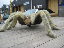 Load image into Gallery viewer, TARANTULA HAIRY -3FT - JR FSC1172H
