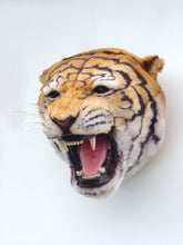 Load image into Gallery viewer, TIGER HEAD JR 2107
