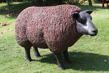 Load image into Gallery viewer, Texelaar Sheep Head Up (JR 100022b)
