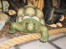 Load image into Gallery viewer, TURTLE (JR R-026)
